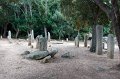 0357 Plateau de Cauria
